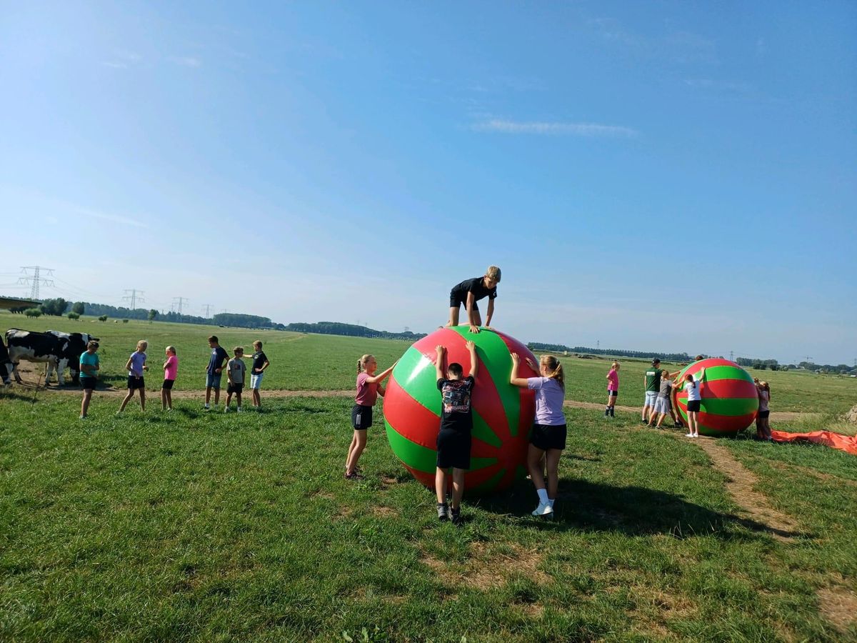 Groep met grote ballen in het veld tijdens een bedrijfsuitje